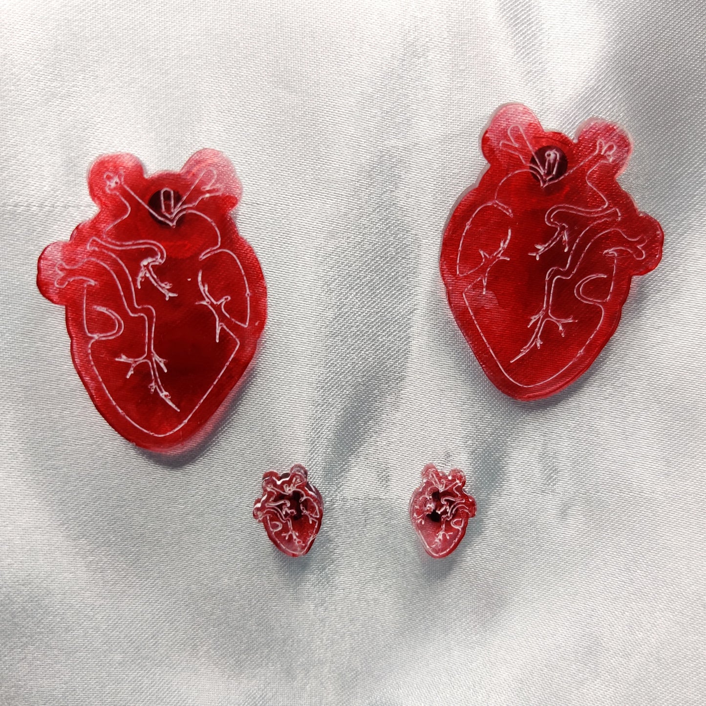 Anatomical Heart Stud Set
